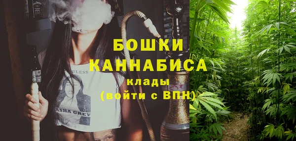 стафф Бронницы