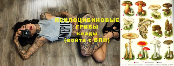 стафф Бронницы
