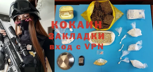 стафф Бронницы
