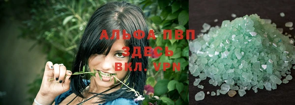 a pvp Бородино